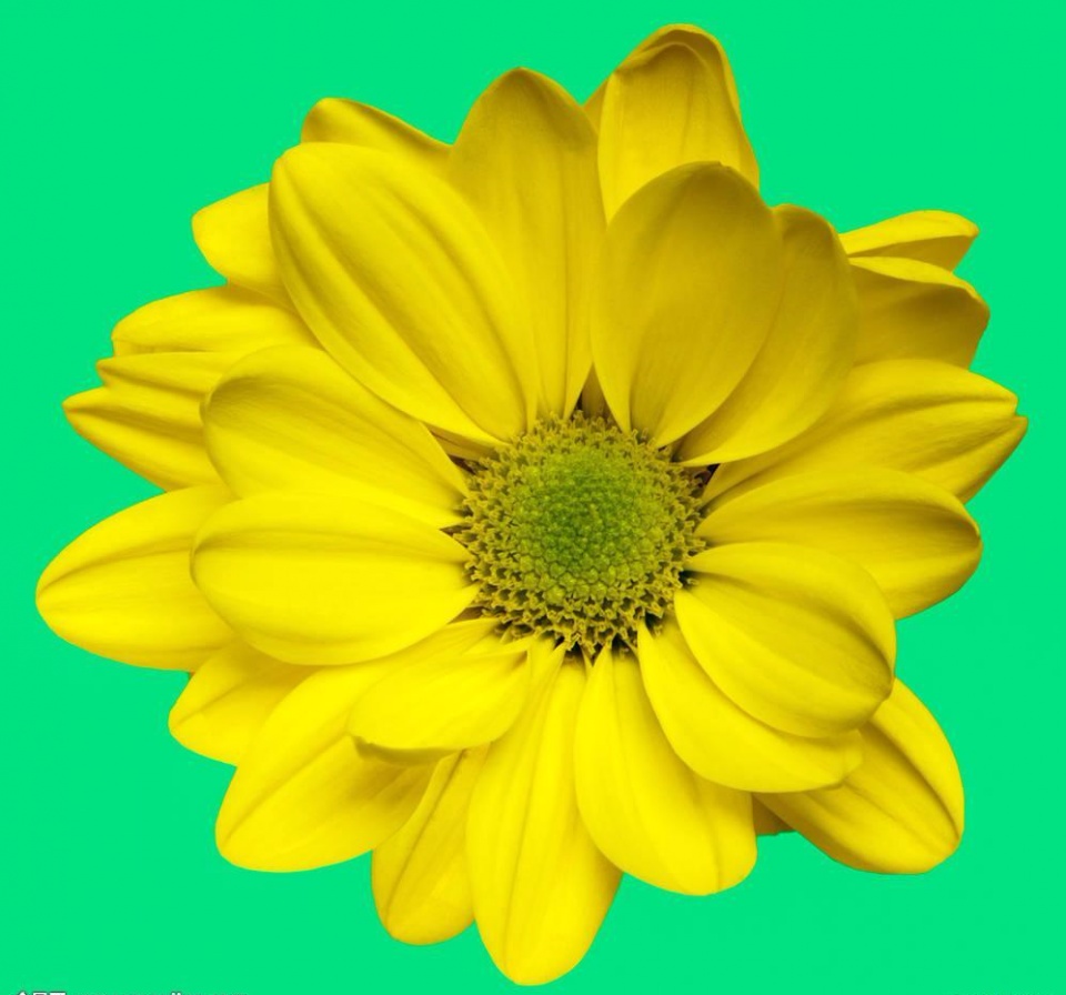 宝宝积食发烧流鼻涕鼻塞咳嗽,宝宝感冒咳嗽腹泻的快速解决方法