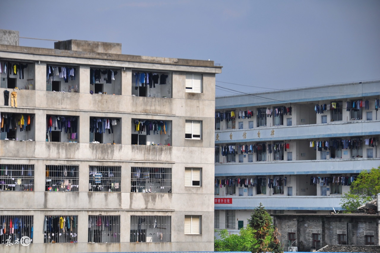 周小五完整视频可保存,周小五的vlog