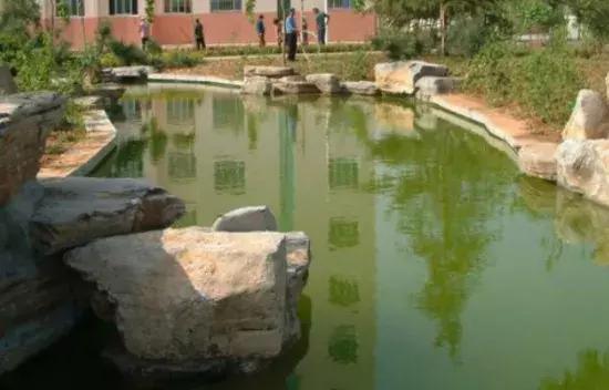 历城二中文化墙,手绘二年级作品