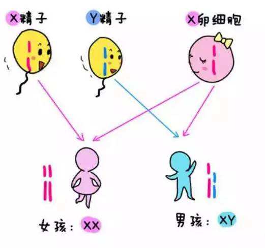 2019清宫表准吗,清宫表到底准不准2010