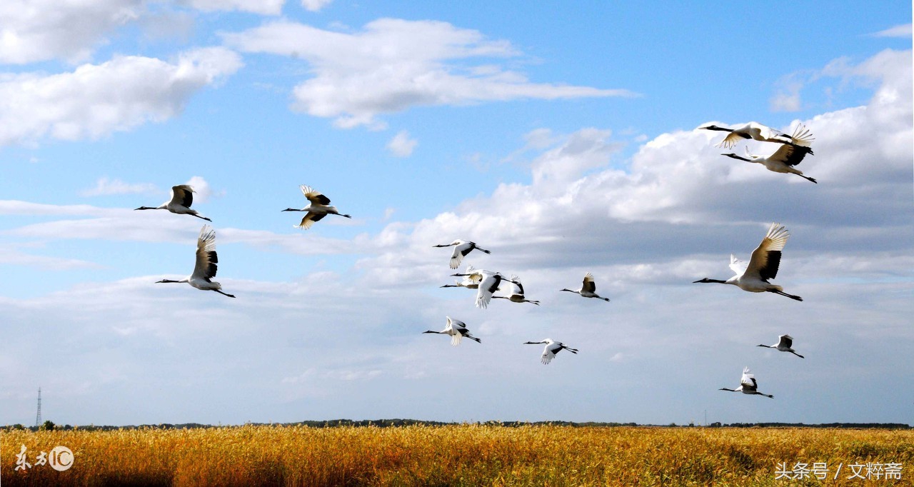 五言雷歌梦里故乡,美文梦中的故乡