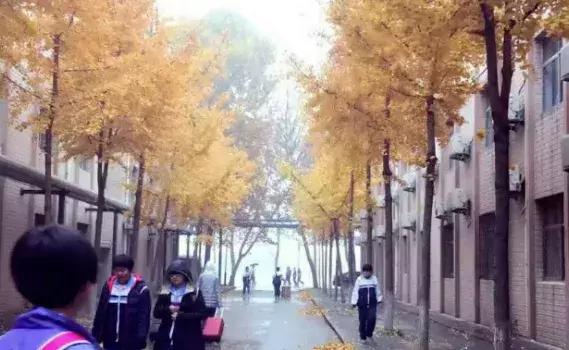 历城二中文化墙,手绘二年级作品