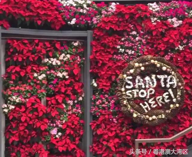 香港圣诞夜旅游攻略,香港圣诞攻略