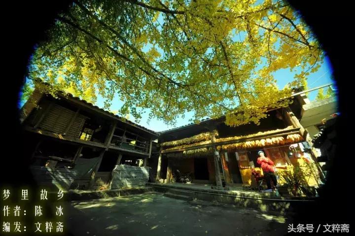 五言雷歌梦里故乡,美文梦中的故乡