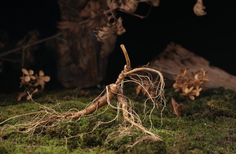 买人参科普,网上买的干人参应该关注哪几点