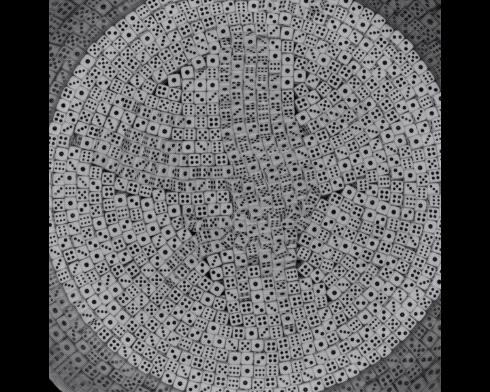 一场由25000个*子骰**表演的魔术