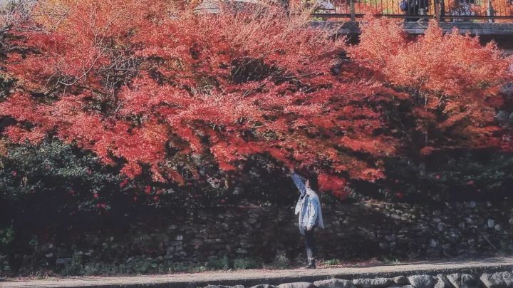 5000元玩转日本岐阜县三城（三）下吕有温泉