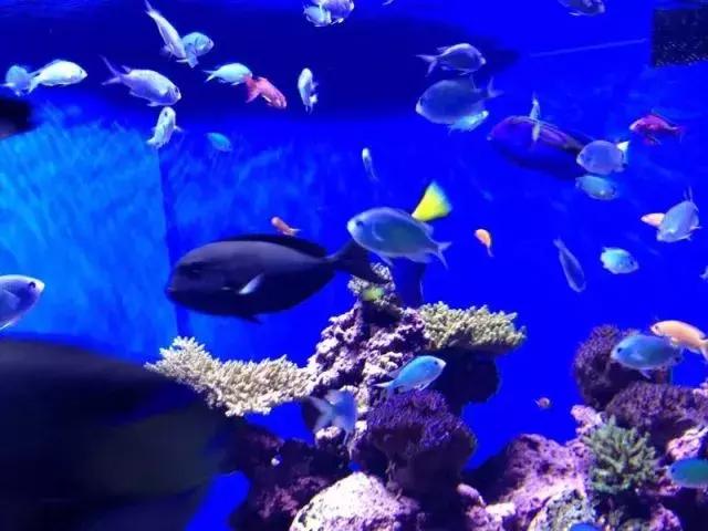 Science:觉得世间无爱?这个实验告诉你没那么难|美柏快讯