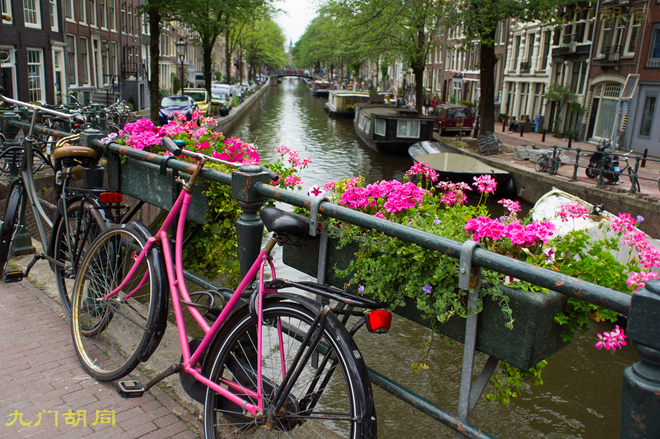 阿姆斯特丹河里自行车,阿姆斯特丹的白色自行车