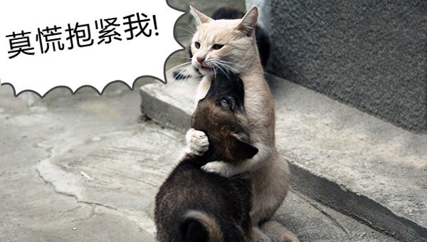 万一有了孩子怎么办,万一怀孕了该怎么办