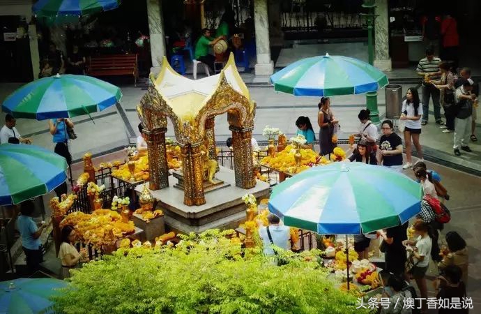 生存挑战热带雨林,生存挑战亚马逊丛林