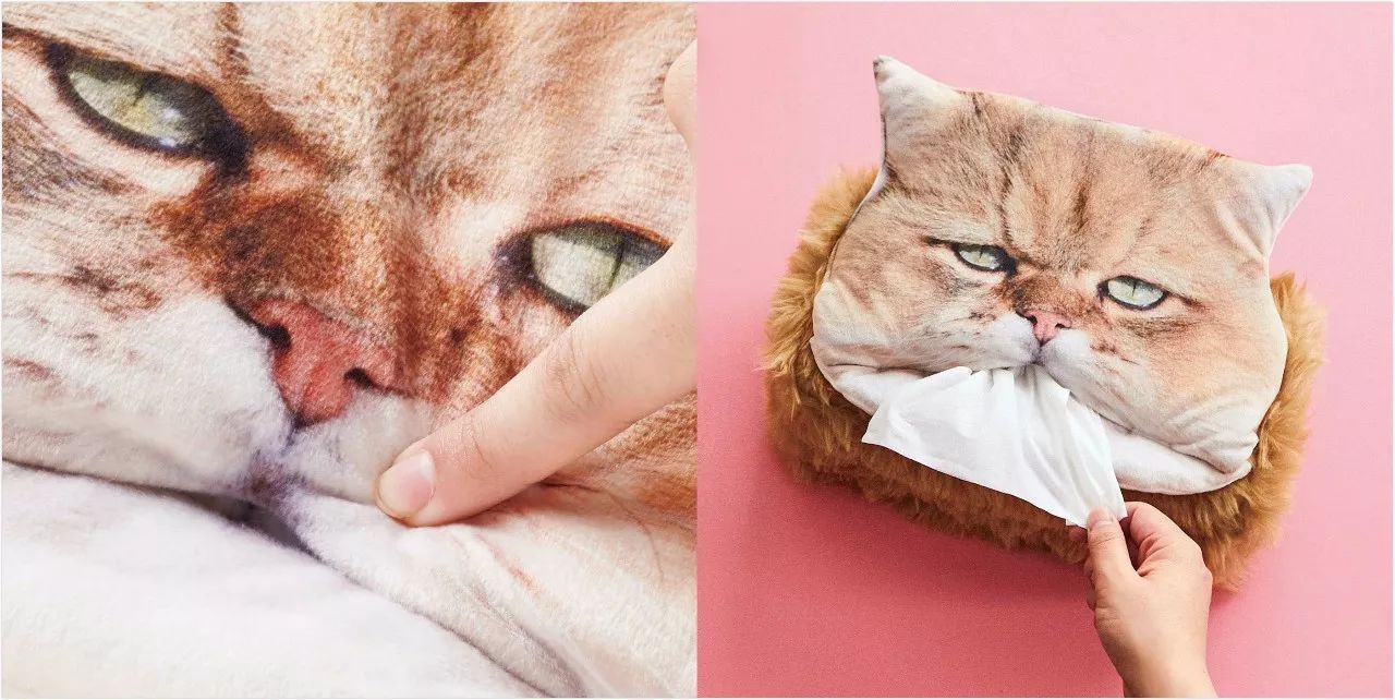 对不起，不能我一个人穷！只能把这些美翻了的猫咪美妆安利给你了