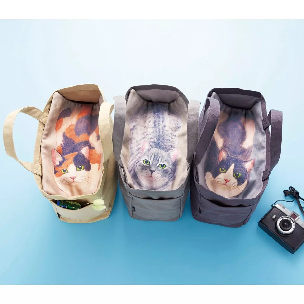 对不起，不能我一个人穷！只能把这些美翻了的猫咪美妆安利给你了