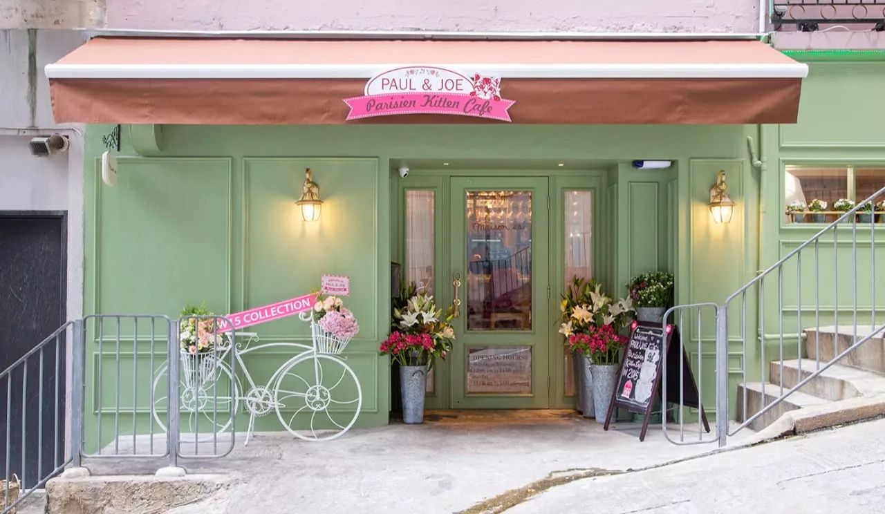 对不起，不能我一个人穷！只能把这些美翻了的猫咪美妆安利给你了