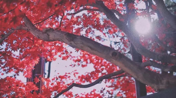 5000元玩转日本岐阜县三城（三）下吕有温泉