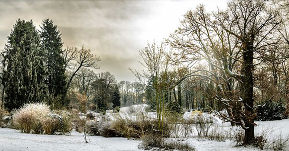 发小赚钱供我读书，可我却害得他家破人亡｜真人真事