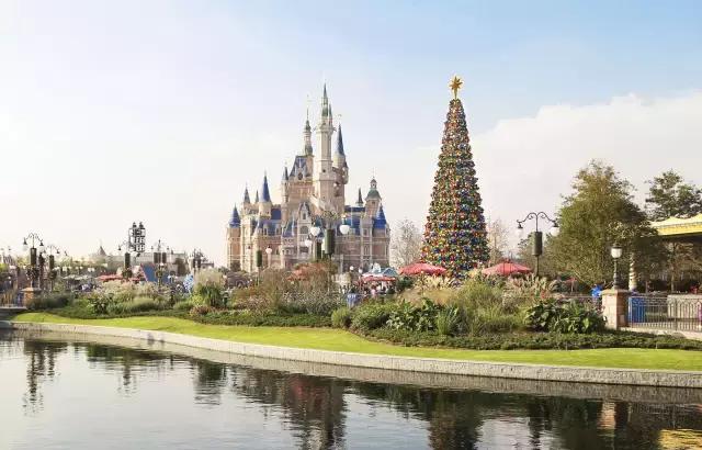 魔都今年的圣诞树，我们都帮你找来了！20颗圣诞树治愈这个冬季~