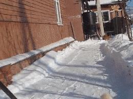 北方的猫过冬靠暖气，那南方的猫靠啥？