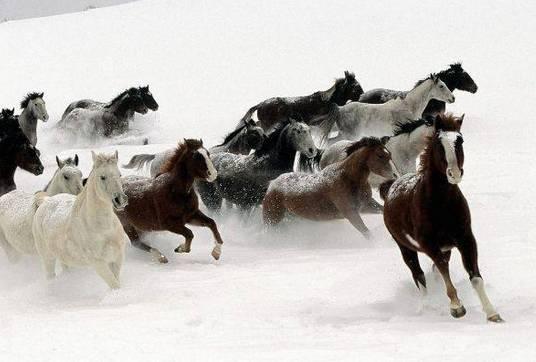 中国十大二胡名曲是哪十首,刘天华十首二胡名曲