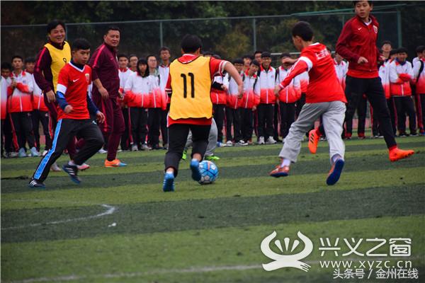 棒呆,棒呆国际教育