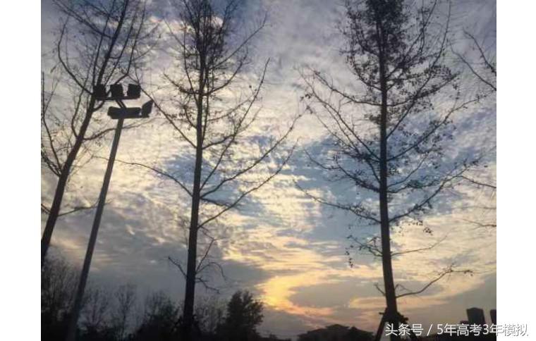 真实的郑州外国语学校,郑州外国语学校2019