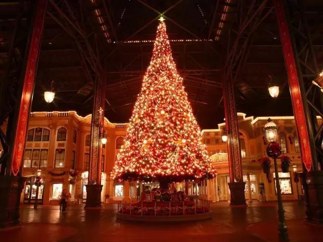 魔都今年的圣诞树，我们都帮你找来了！20颗圣诞树治愈这个冬季~