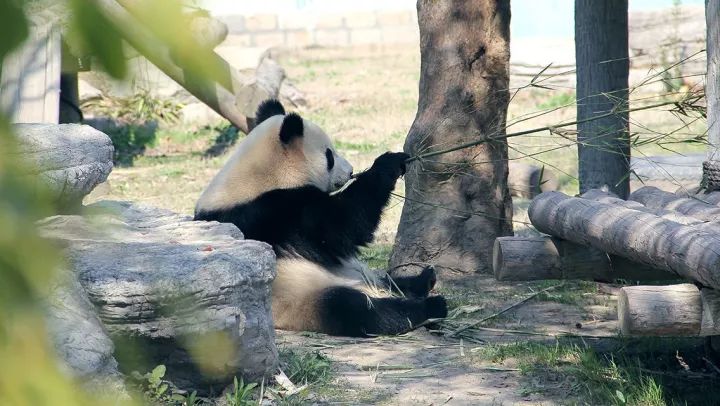 浦东头条新闻,浦东新区新闻头条最新