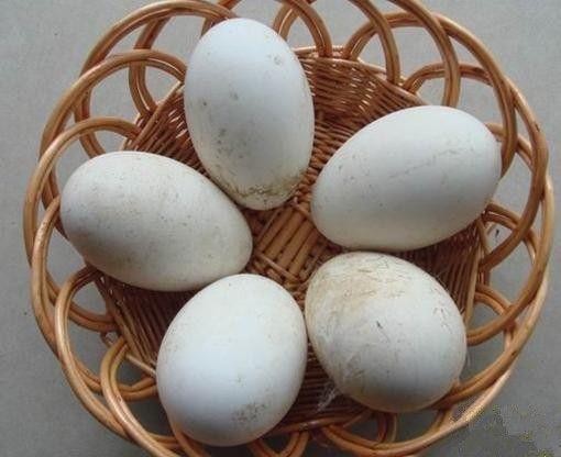 孕妇吃鹅蛋去胎毒吗有影响吗 (孕妇鹅蛋怎么吃去胎毒)