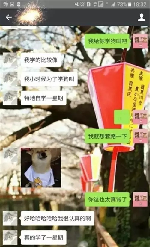 我给你学个狗叫吧怎么回,给你表演学狗叫