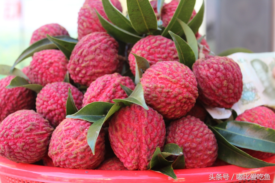 海南省十大特产海南有哪些特产海南著名特产排行榜