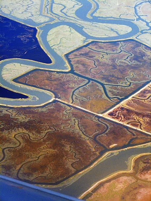 大自然中奇妙的分形图,100幅自然艺术欣赏