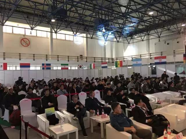 足球盛宴开幕式,第二届中国国际足球产业博览会