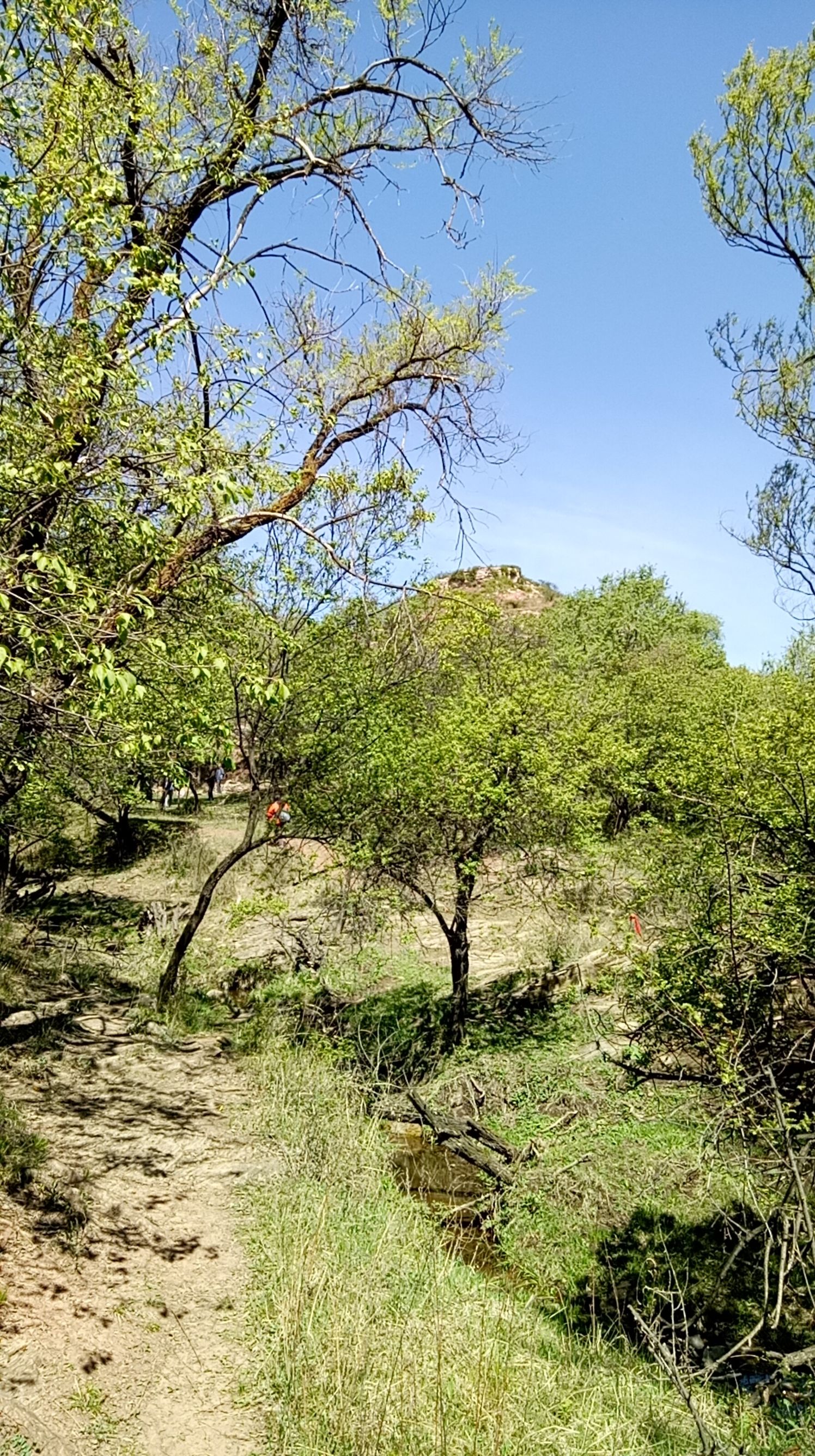 寻访北寨——高崖底、上城南、下城南、阎家寨、杏花庄