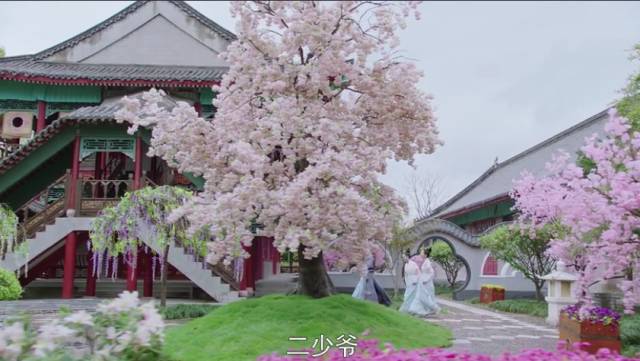 鍋囩潾姣涘彉鏍蜂簡瑙嗛,鍋囩潾姣涚幇鍦ㄥ彉鏍蜂簡