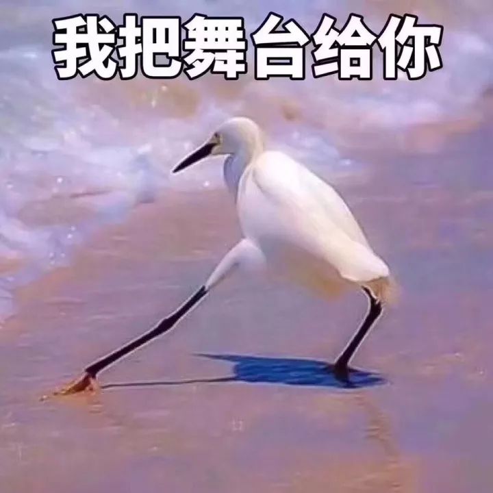 鍋囩潾姣涘彉鏍蜂簡瑙嗛,鍋囩潾姣涚幇鍦ㄥ彉鏍蜂簡