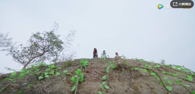 鍋囩潾姣涘彉鏍蜂簡瑙嗛,鍋囩潾姣涚幇鍦ㄥ彉鏍蜂簡