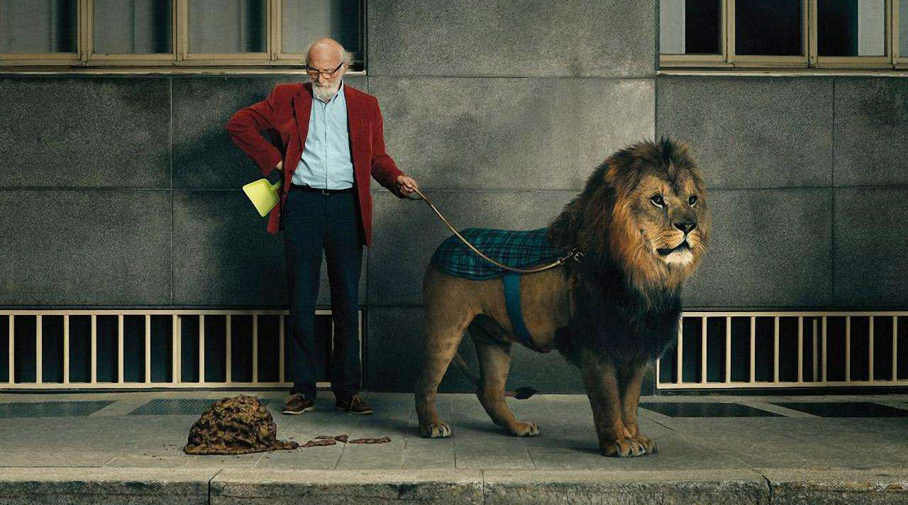 休闲皮鞋哪个牌子性价比高,什么牌子的休闲皮鞋好