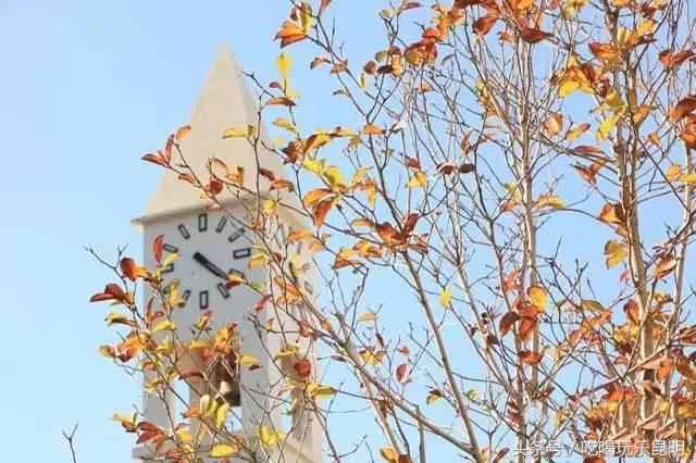 昆十中学校怎么样,昆十中文科实力