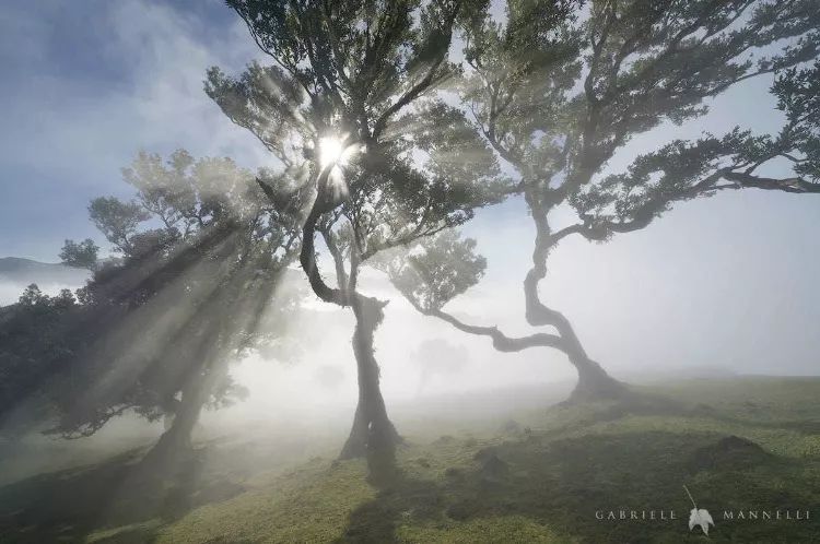 周末摄影欣赏,六月风情摄影欣赏