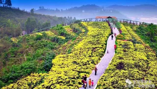 国家森林康养基地示范县,国家级全域森林康养试点建设县