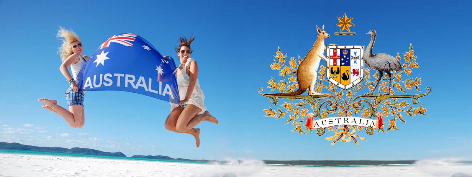 投资移民澳大利亚188b获批成功率,澳洲188a转永居通过率