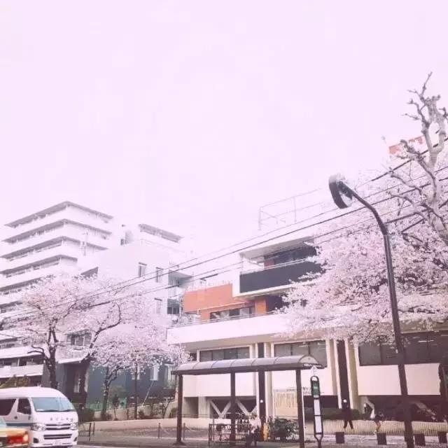 怎样填写简历通过率更高,怎样填写简历中的优缺点