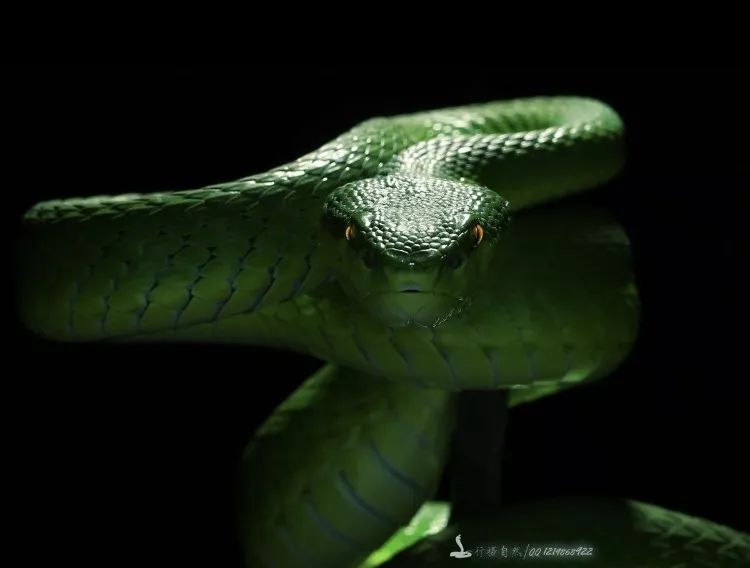 周末摄影欣赏,六月风情摄影欣赏