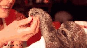 适合小个子的淘宝女装店推荐,通勤值得推荐的淘宝女装店