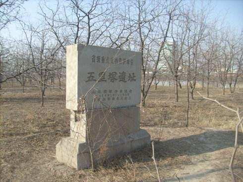 乐陵市金丝小枣批发市场,乐陵市朱集镇金丝小枣