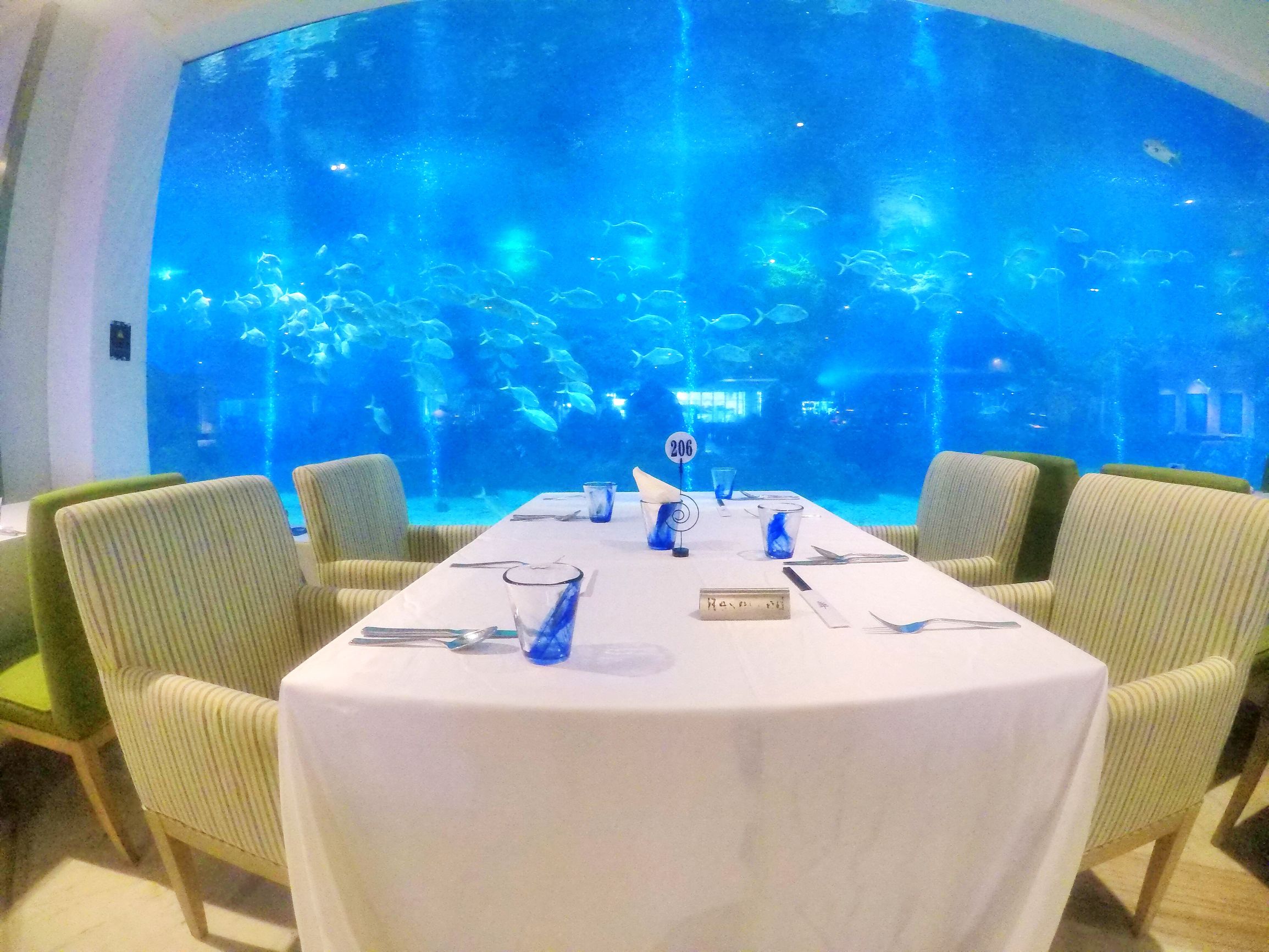 三亚度假之旅完美结束,三亚度假巨无霸五天五夜玩不腻