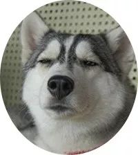 甜到爆的恋爱日常手绘,手绘情侣日常恋爱日记