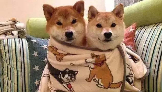 肯德基新品炸鸡,肯德基新品咖啡