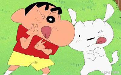 盘点全网十大网红狗狗,盘点电影中的十大狗狗明星