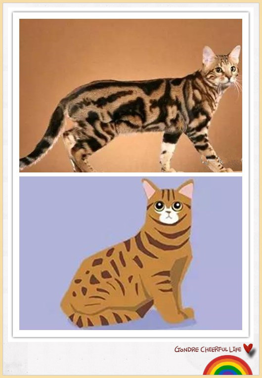 猫咪插画手绘图片,各种猫咪萌化图片